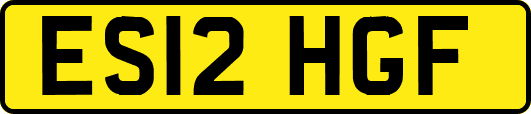 ES12HGF