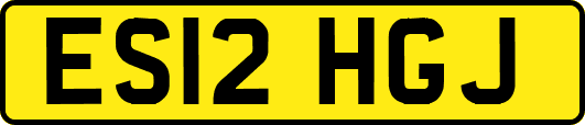 ES12HGJ