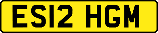 ES12HGM