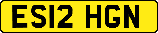 ES12HGN