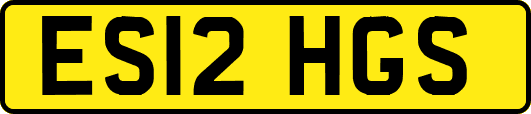 ES12HGS