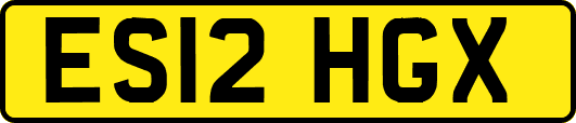 ES12HGX