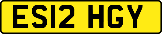 ES12HGY