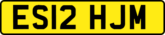 ES12HJM
