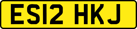 ES12HKJ