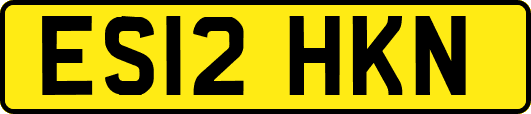 ES12HKN
