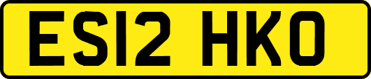 ES12HKO