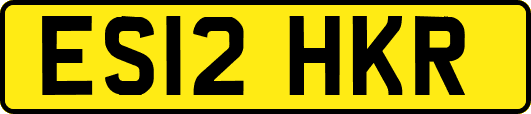 ES12HKR