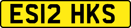 ES12HKS
