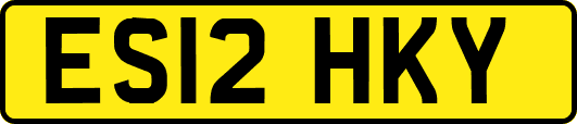 ES12HKY