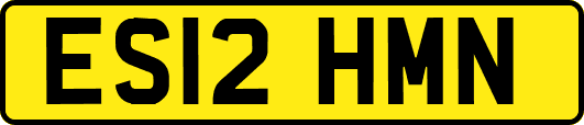 ES12HMN