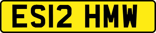 ES12HMW