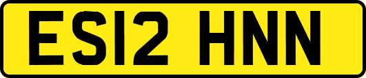 ES12HNN