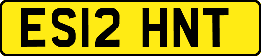 ES12HNT