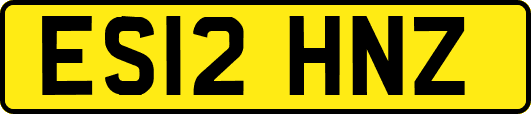 ES12HNZ
