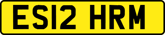 ES12HRM