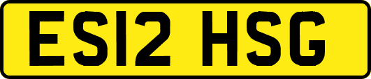 ES12HSG