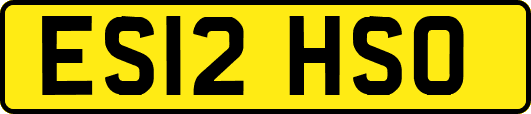 ES12HSO