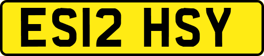 ES12HSY