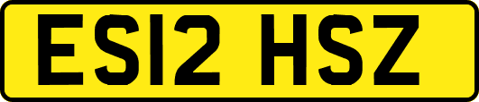 ES12HSZ