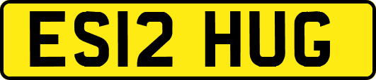 ES12HUG