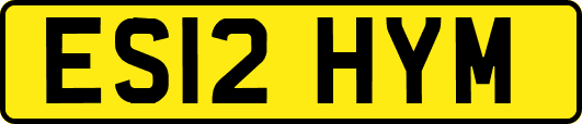 ES12HYM