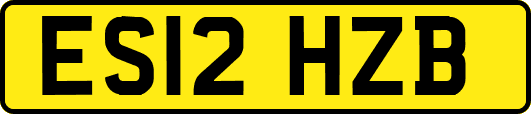 ES12HZB