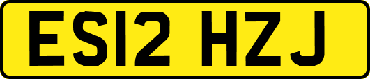 ES12HZJ