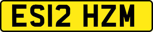 ES12HZM