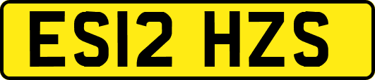 ES12HZS