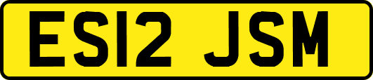 ES12JSM