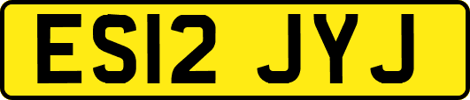 ES12JYJ