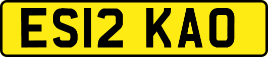 ES12KAO