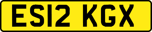 ES12KGX