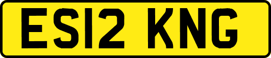ES12KNG