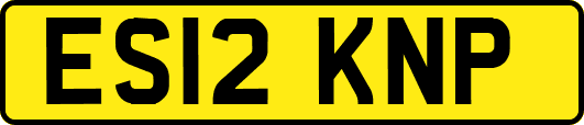 ES12KNP