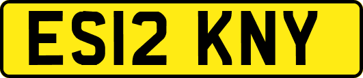 ES12KNY