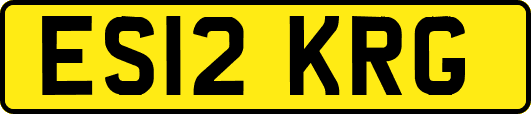 ES12KRG