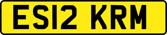 ES12KRM