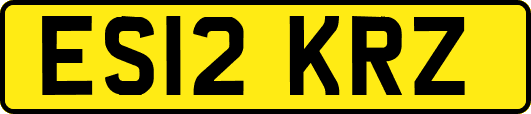 ES12KRZ
