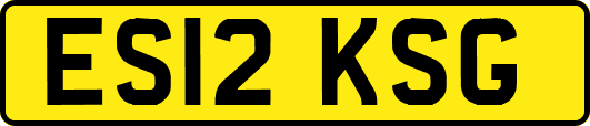 ES12KSG