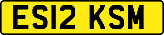ES12KSM