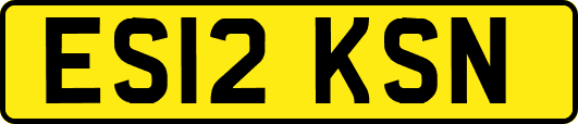 ES12KSN