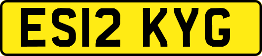 ES12KYG