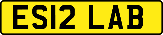 ES12LAB