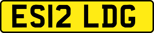 ES12LDG