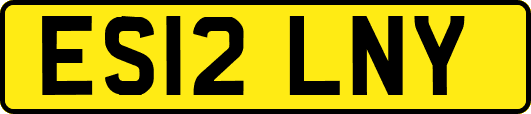 ES12LNY