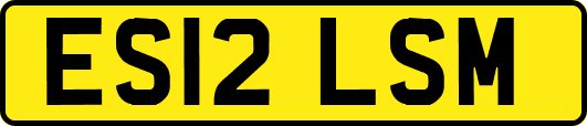 ES12LSM
