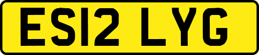 ES12LYG