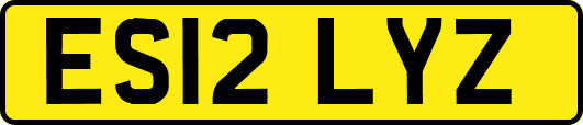 ES12LYZ
